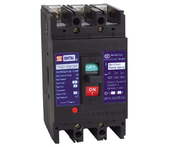 TSM21 series moulded case circuit breaker manufacturers from china  